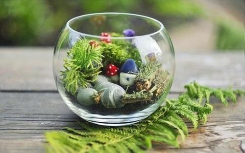 Вечнозеленый маленький мир. 05