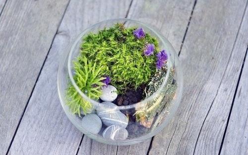 Вечнозеленый маленький мир. 07