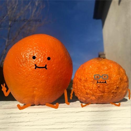 В случае если бы у фруктов и ягод были бабушки и дедушки. 01