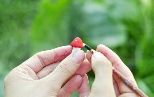 Вечнозеленый маленький мир. 08