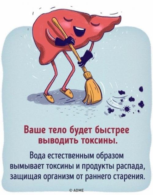 Что будет, если все напитки заменить водой. 01