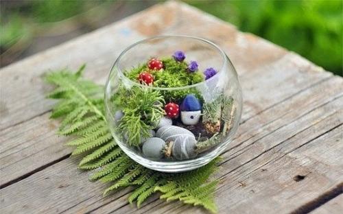 Вечнозеленый маленький мир. 03