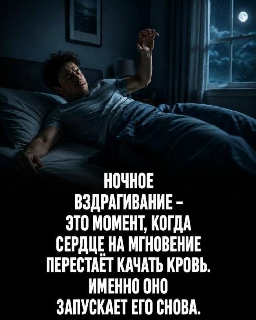 Твоё тело работает 24 часа в сутки без твоего участия. 05