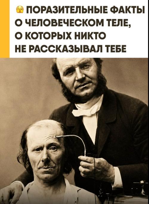 Твоё тело работает 24 часа в сутки без твоего участия. 
