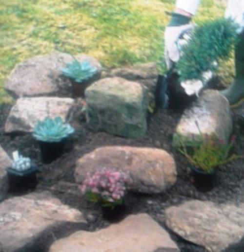 Обустройство альпинария.  Альпинарий собой миниатюрный фрагмент горного ландшафта представляет. 04