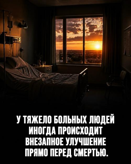 Твоё тело работает 24 часа в сутки без твоего участия. 02