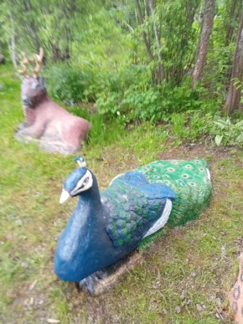 Моя сказочная полянка в деревне. 01