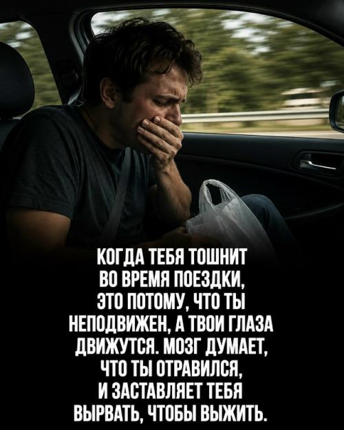 Твоё тело работает 24 часа в сутки без твоего участия. 03