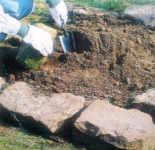 Обустройство альпинария.  Альпинарий собой миниатюрный фрагмент горного ландшафта представляет. 02