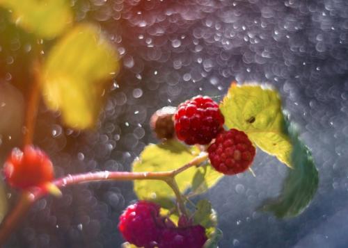 Уютные Ламповые снимки снятые на объектив Meyer - Optik Gorlitz Oreston 50mm f/1. 03