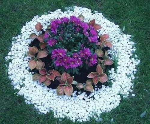 Какие виды клумб существуют? 01 Какие виды клумб существуют? 01