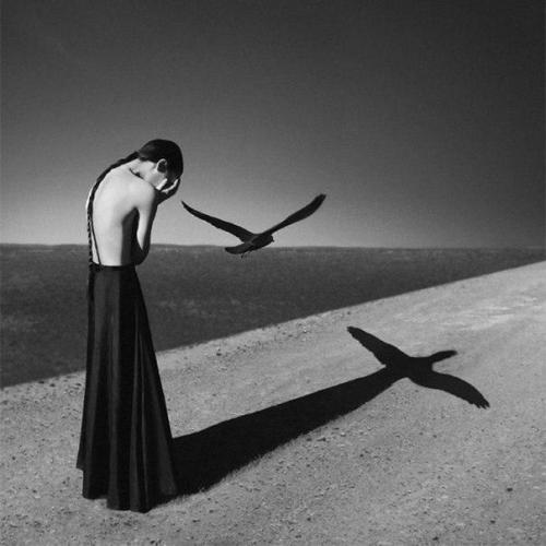 Черно-белые автопортреты Ноель с. Освальд. 01