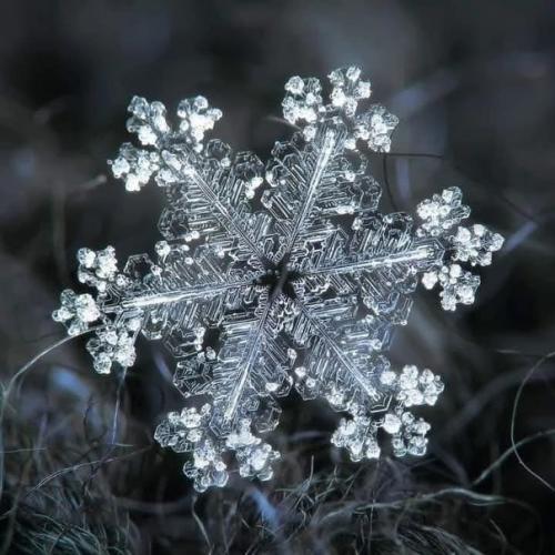 Фотограф Алексей клятов потрясающие снимки снежинок делает. 06