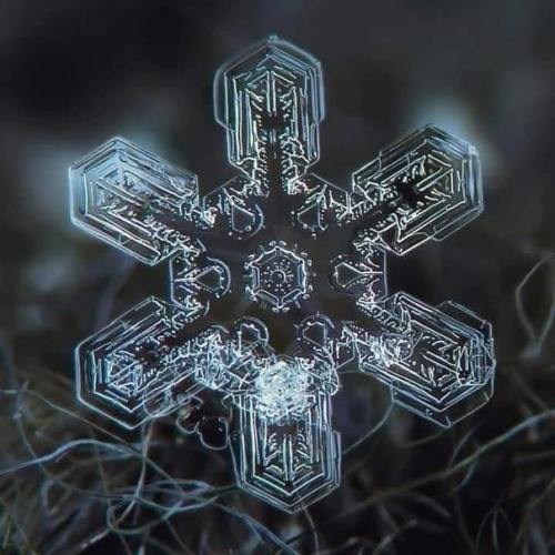 Фотограф Алексей клятов потрясающие снимки снежинок делает. 04