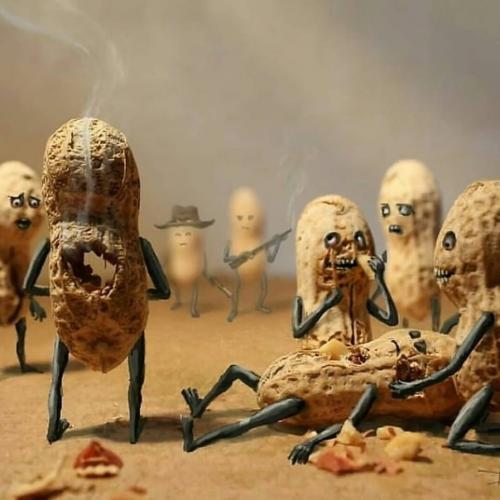 Хроники арахиса. Забавный фотопроект от David Mishra. 01