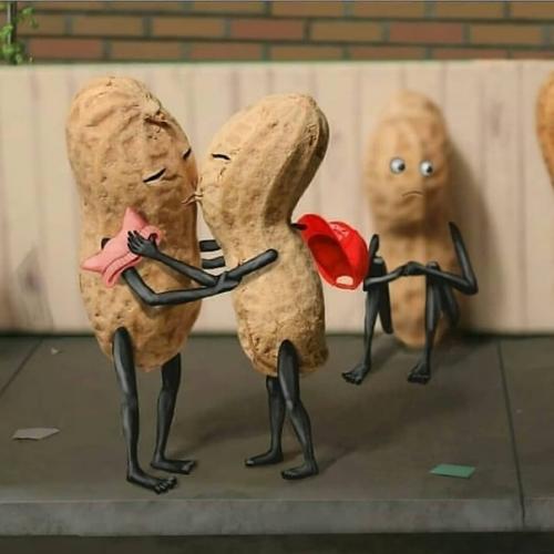 Хроники арахиса. Забавный фотопроект от David Mishra. 09