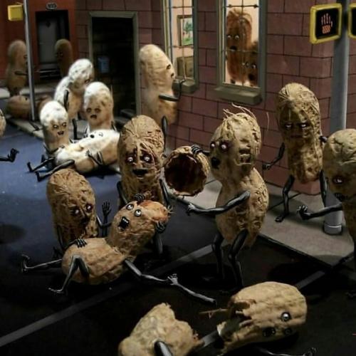 Хроники арахиса. Забавный фотопроект от David Mishra. 07