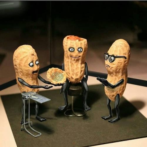 Хроники арахиса. Забавный фотопроект от David Mishra. 08