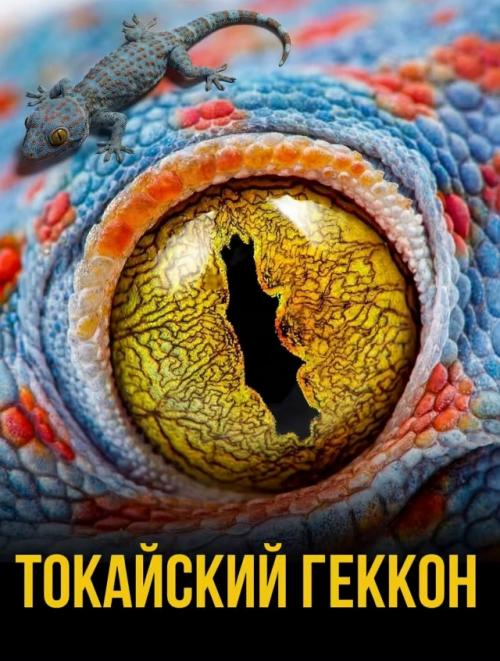 Их форма, цвет и даже расположение никогда не бывают случайными. 04