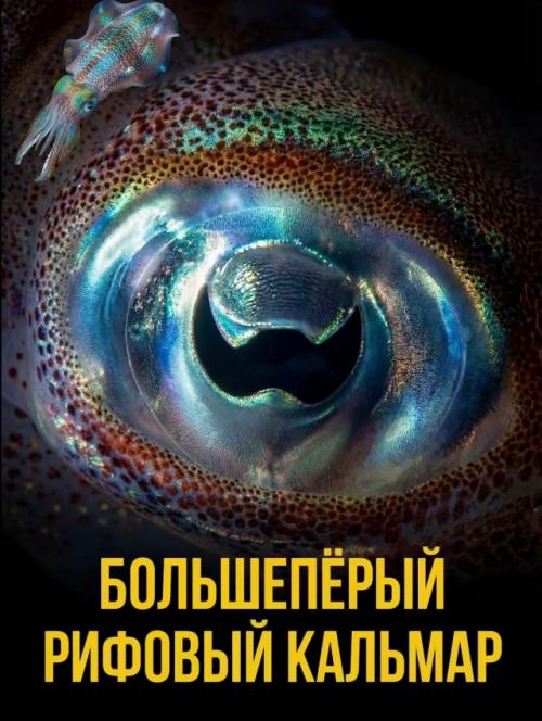 Их форма, цвет и даже расположение никогда не бывают случайными. 06