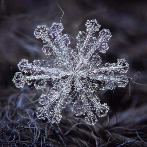 Фотограф Алексей клятов потрясающие снимки снежинок делает. 02