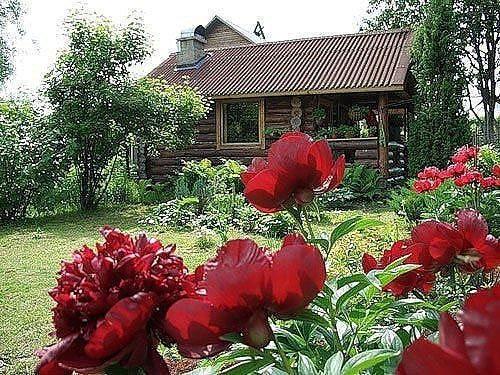 Когда лучше приступать к омоложению пиона. 04 Когда лучше приступать к омоложению пиона. 04