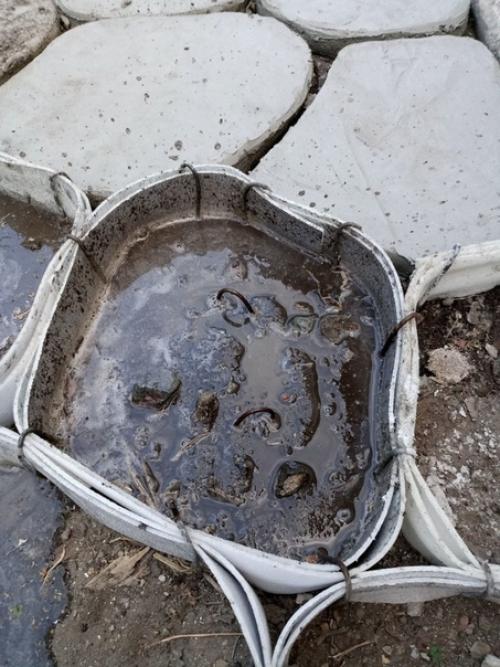 Из летнего архива: жена просила, чтобы я замостил палисадник против бурьяна. 02