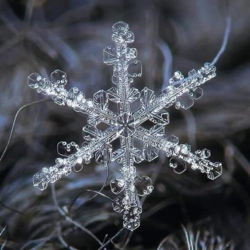 Фотограф Алексей клятов потрясающие снимки снежинок делает. 08