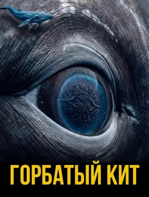 Их форма, цвет и даже расположение никогда не бывают случайными. 05