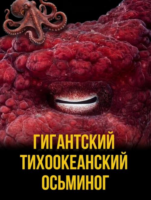 Их форма, цвет и даже расположение никогда не бывают случайными. 01