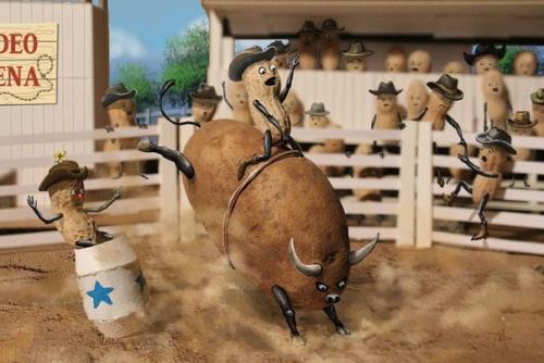 Хроники арахиса. Забавный фотопроект от David Mishra. 05