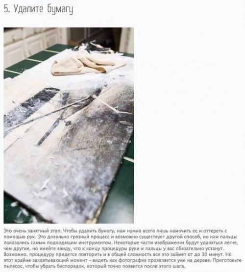 Как перенести фотографию на дерево? 06