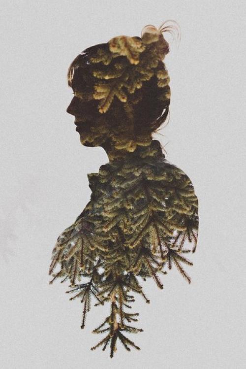 Урок.  Фотосъёмка.  Приёмы и техники. 05