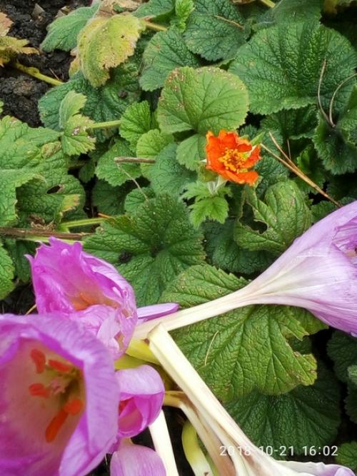 От подписчика: Анжелика Глушкова. 02