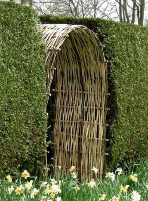 Как и из чего сделать живую изгородь? 01 Как и из чего сделать живую изгородь? 01