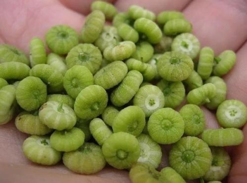 Ох уж эти деревенские воспоминания. 02