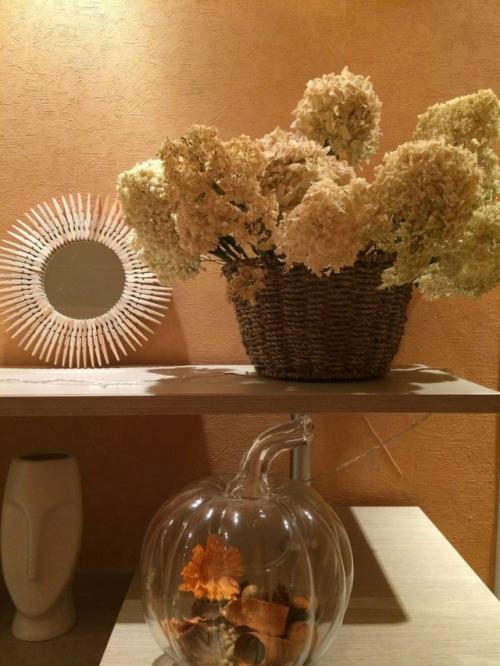 Начинающие садоводы спрашивают, чем отличаются древовидные гортензии от метельчатых? 03