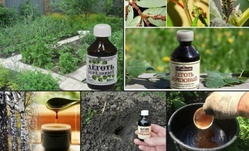 Березовый деготь в помощь дачникy.

