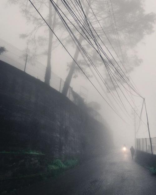 Хроники сайлент хилла. 07