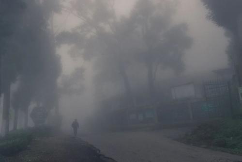 Хроники сайлент хилла. 08