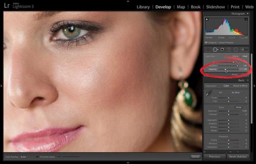 Как убрать жирные блики на коже в Lightroom. 02 Как убрать жирные блики на коже в Lightroom. 02