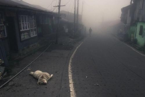 Хроники сайлент хилла. 05