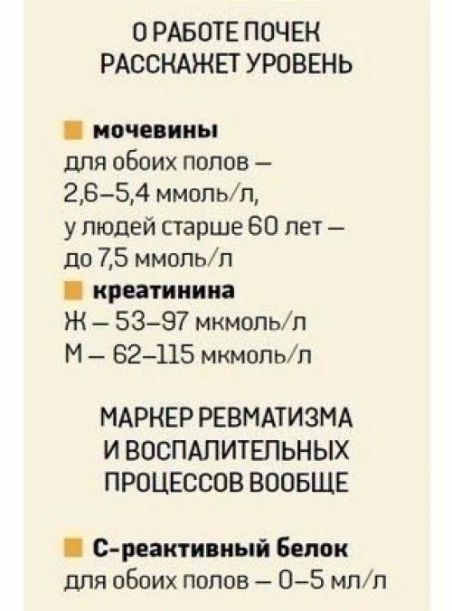 Хотите расшифровать анализ крови? 03