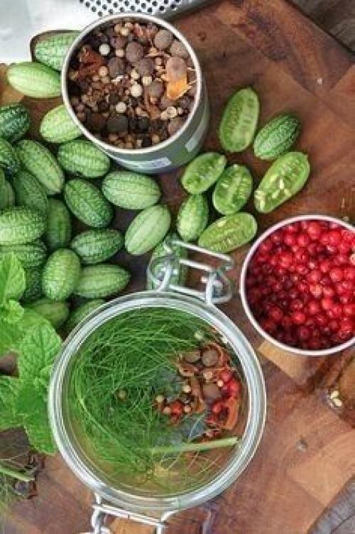 Не знаете что посадить? 05