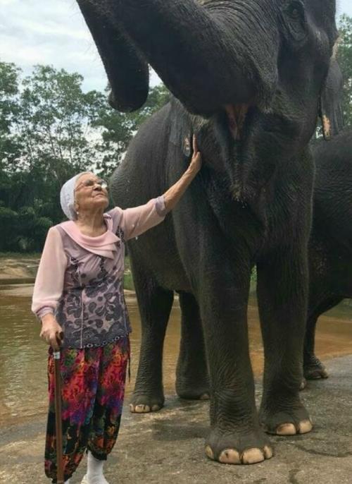Баба лена отправилась в путешествие по миру в возрасте восьмидесяти трёх лет. 01