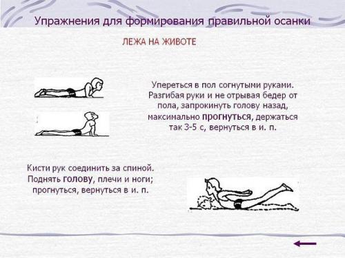 Упражнения от сутулости - красивая осанка у взрослых и детей. 03