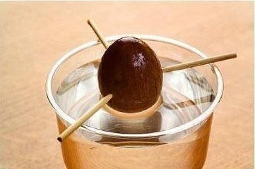 Мы выращиваем авокадо из косточки. 04