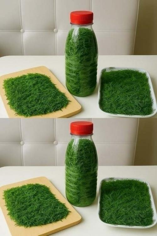 Cвeжий укроп всегда под рукoй.  