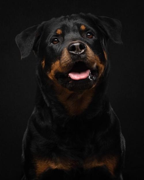 Хороший пример съемки черного на черном. 04