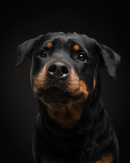 Хороший пример съемки черного на черном. 02